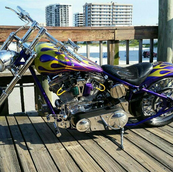 Meet your Posher, Jasmine - Picture 2 of 7